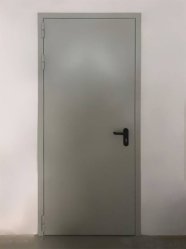 Глухая одностворчатая дверь (ул. Маломосковская, 22)